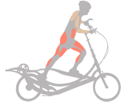 elliptigo 11r for sale