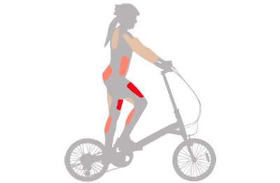 SUB Muscles