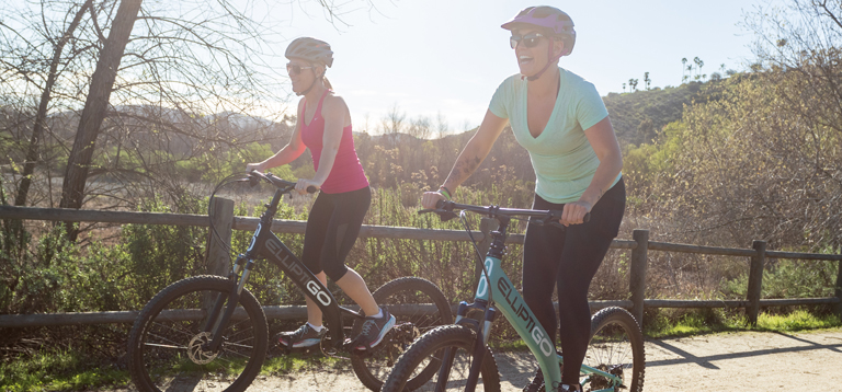 stand up bike without seat