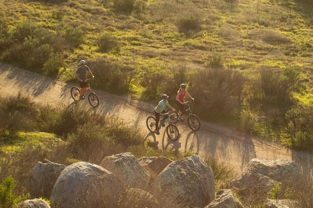 elliptigo msub review