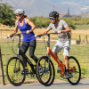 ElliptiGO RSUB Stand Up Bike