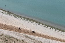 Climbers scaling the Sleeping Bear Dunes