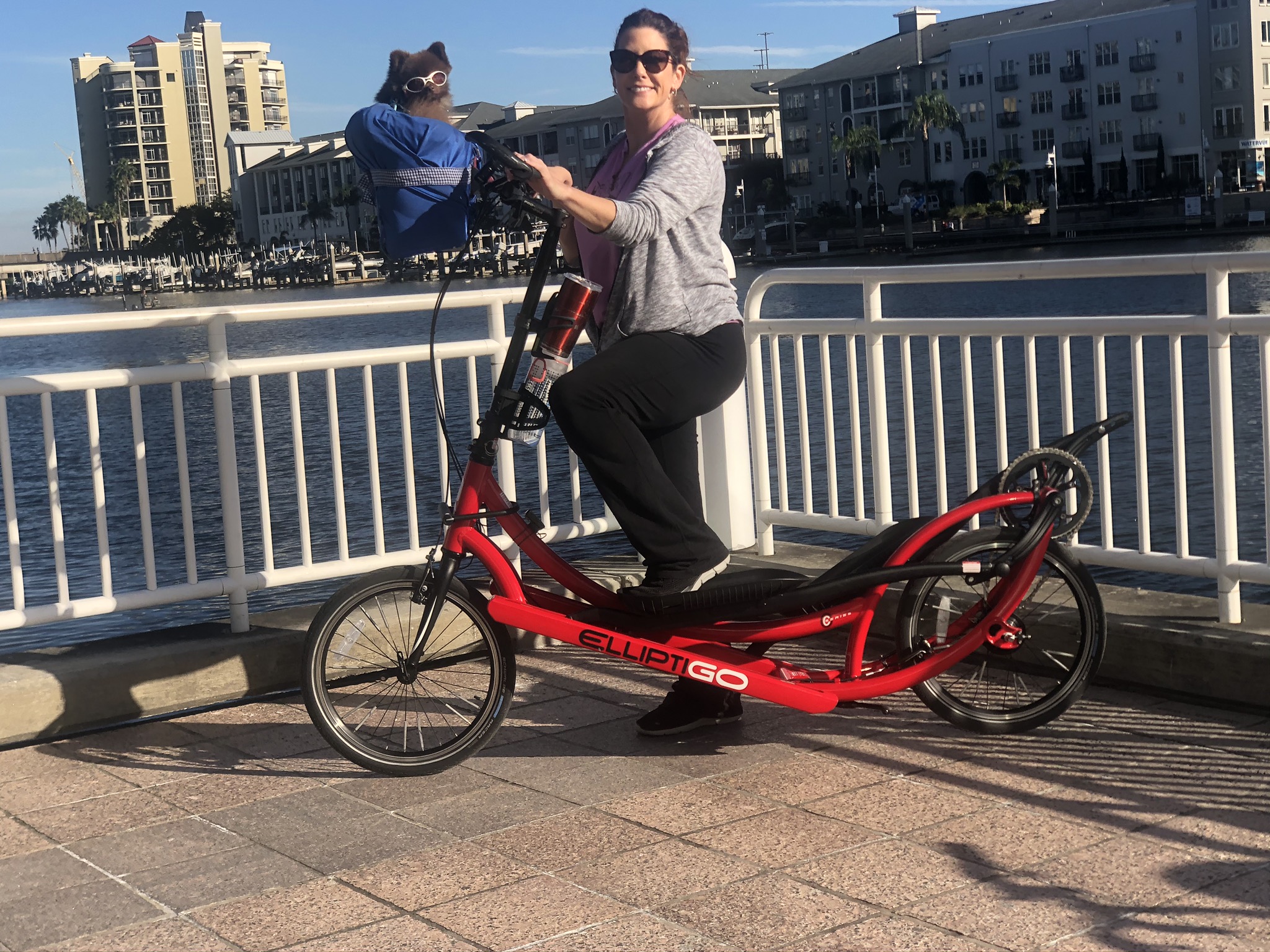 Elliptigo craigslist 2025