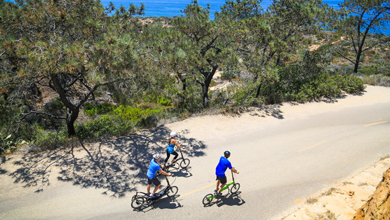 Trio of Long-Stride riders